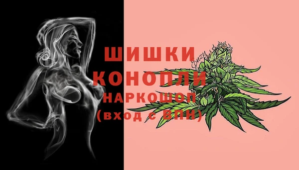 дмт Ростов