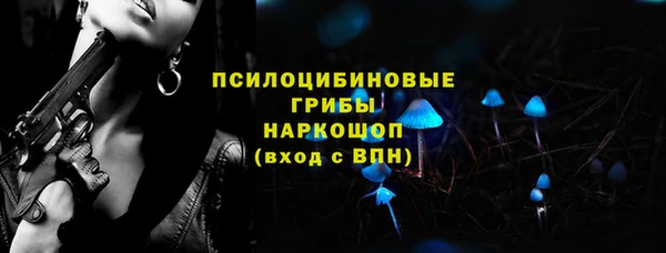 гашик Россошь