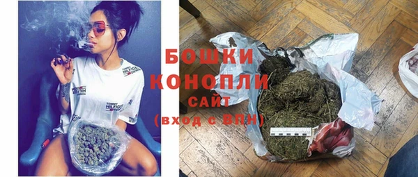 шишки Алексеевка