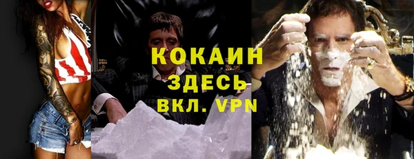 шишки Алексин
