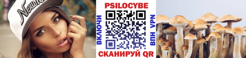 магазин  наркотиков  нарко площадка состав  Псилоцибиновые грибы GOLDEN TEACHER  Нелидово 